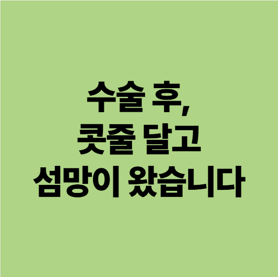 콧줄과 산소포화도 모니터를 갖춘 고령 폐렴 환자의 병실 케어