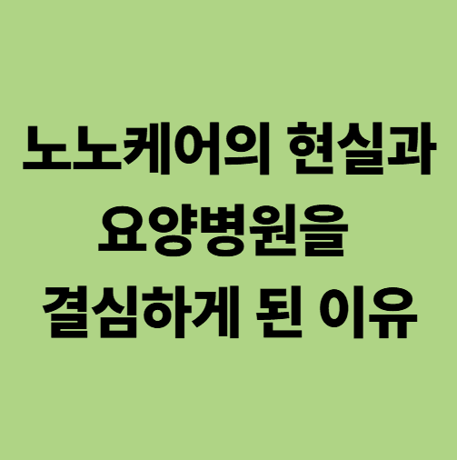 노노케어의 현실